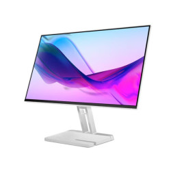 LENOVO MONITOR LED L24i-4A...